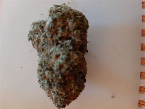 pink death strain allbud